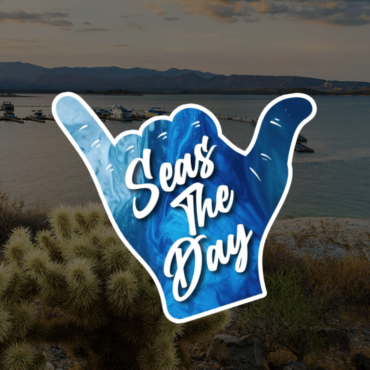 Seas The Day, Boat Rentals - Boat rental service in Mesa